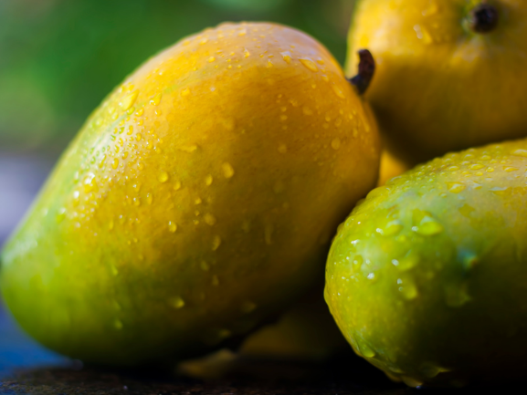 Premium Kesar Mangoes