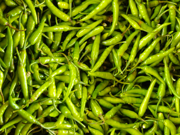 Green Chilli Exporter from India