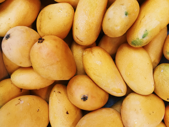 Kesar Mango Exporter from India