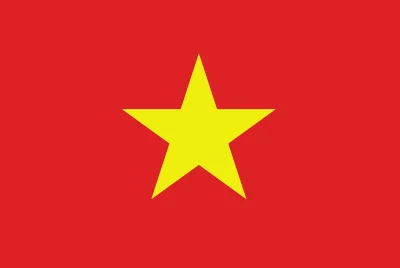 Vietnam Import Market