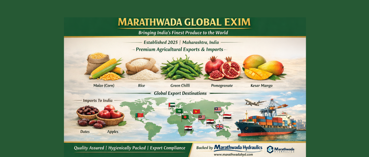 Reliable Import Export Company India